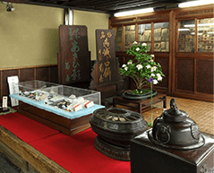 本家菊屋本店