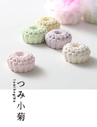 つみ小菊